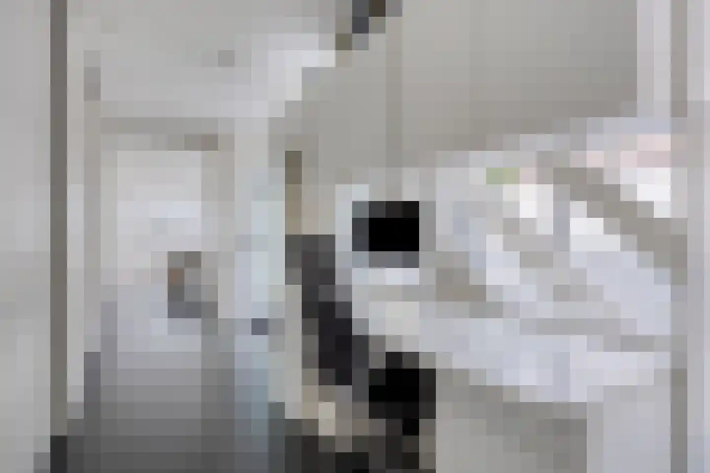 Strijp 7 Gilze thumbnail 18