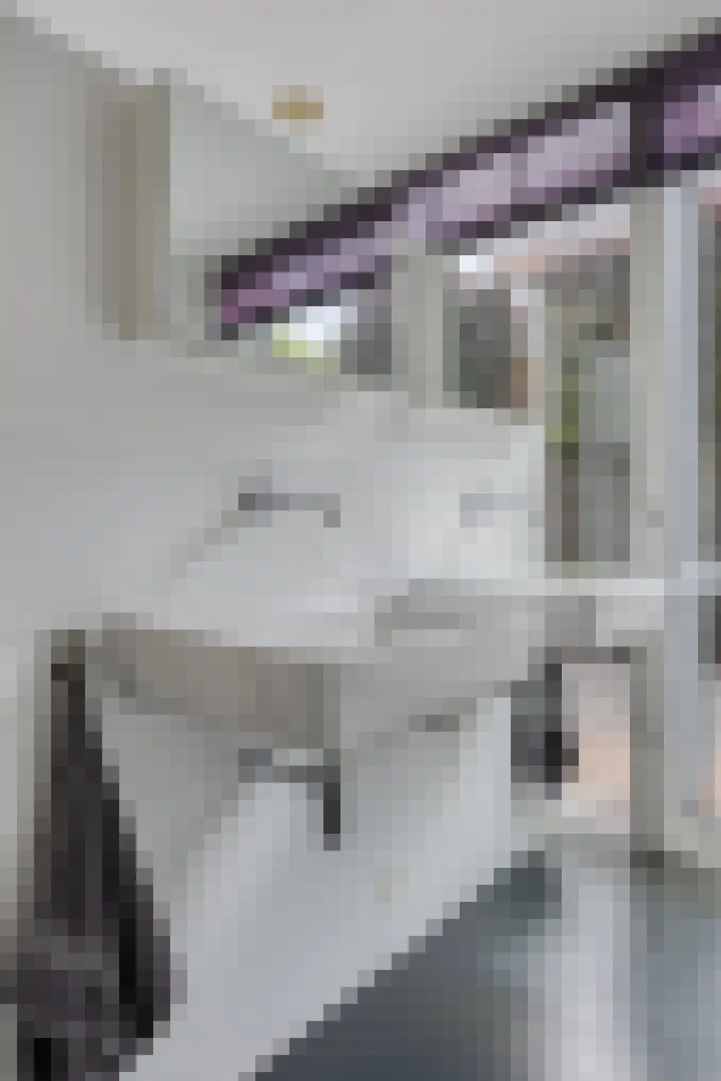 Strijp 7 Gilze thumbnail 22