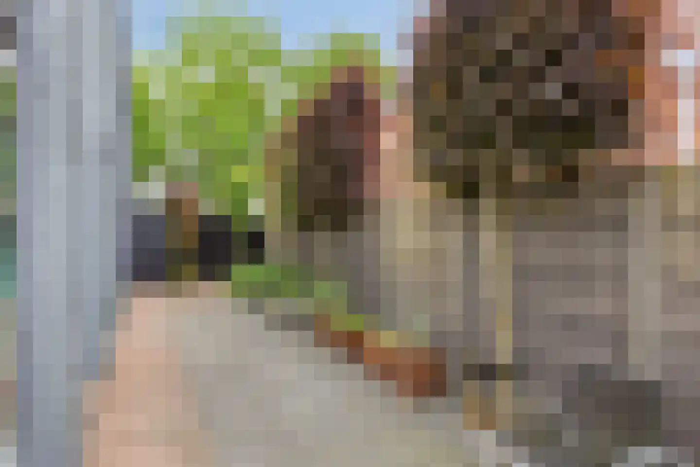 Strijp 7 Gilze thumbnail 35
