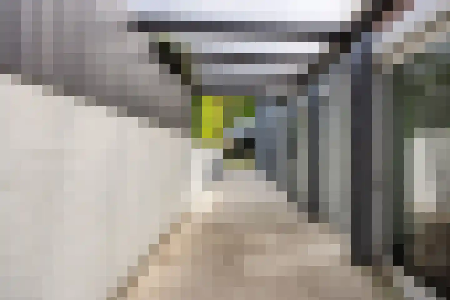 Strijp 7 Gilze thumbnail 9