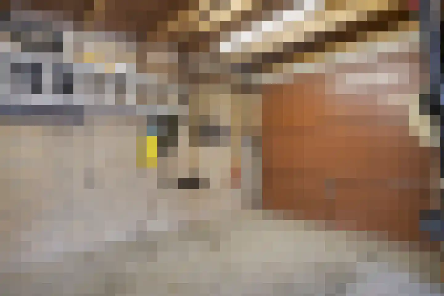 Strijp 8 Wouw thumbnail 27