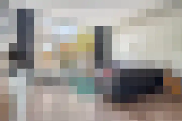 Strijpe 19 Breda thumbnail 10