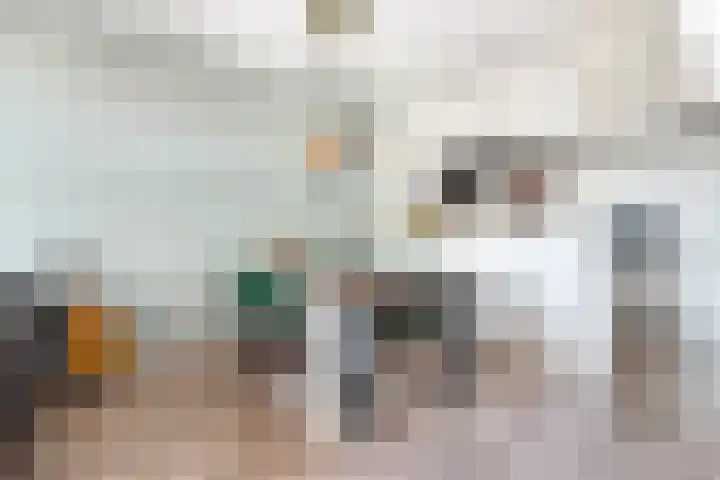 Strijpe 19 Breda thumbnail 13