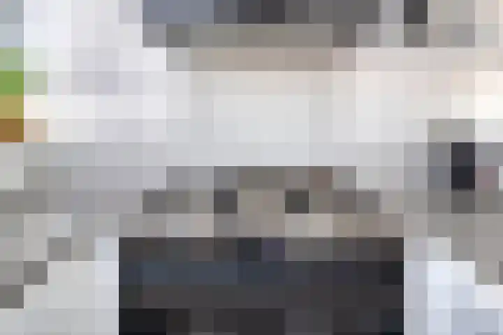 Strijpe 19 Breda thumbnail 18