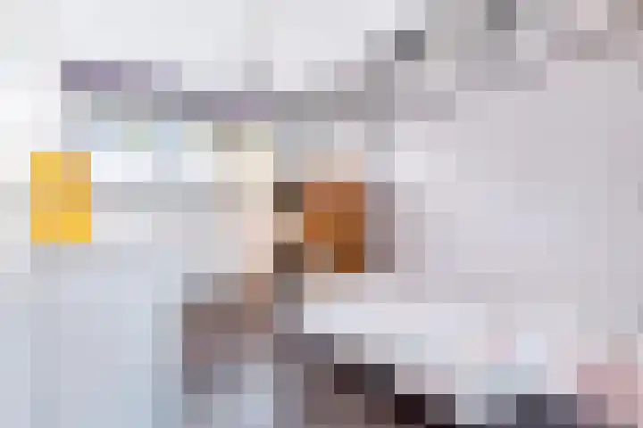 Strijpe 19 Breda thumbnail 20