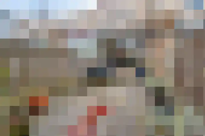 Strijpe 19 Breda thumbnail 35