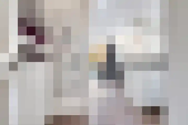 Strijpe 19 Breda thumbnail 7