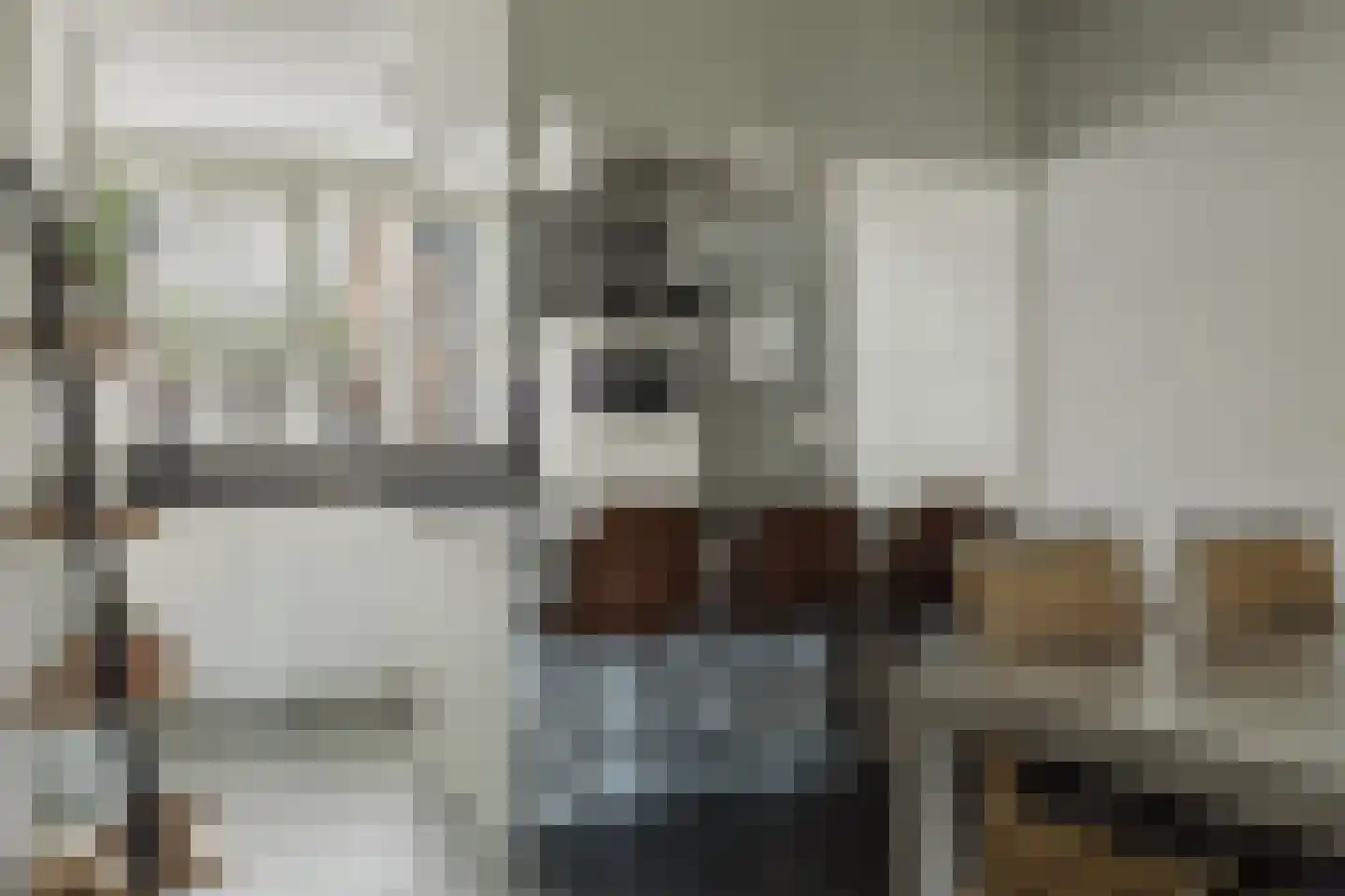 Strijpenhof 14 Liempde thumbnail 10