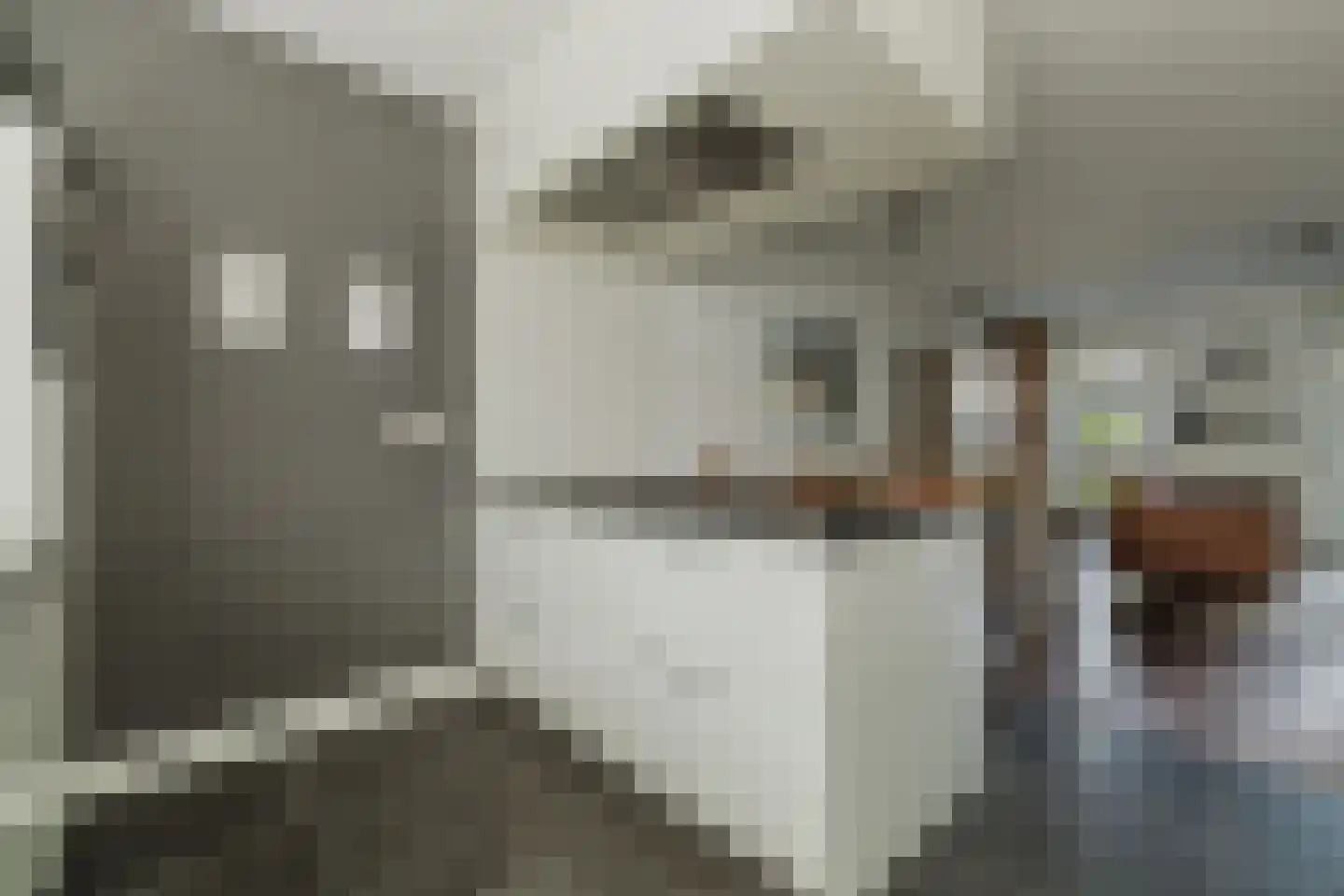 Strijpenhof 14 Liempde thumbnail 13