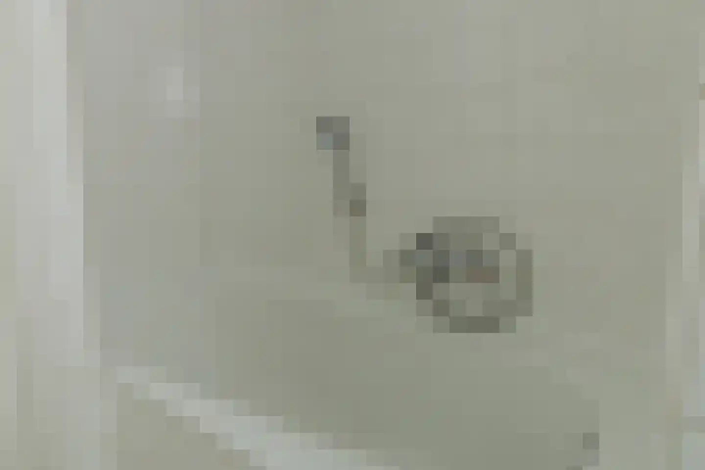 Strijpenhof 14 Liempde thumbnail 35