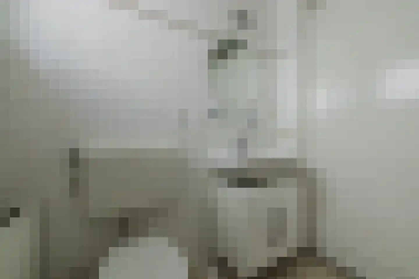 Strijpenhof 14 Liempde thumbnail 37