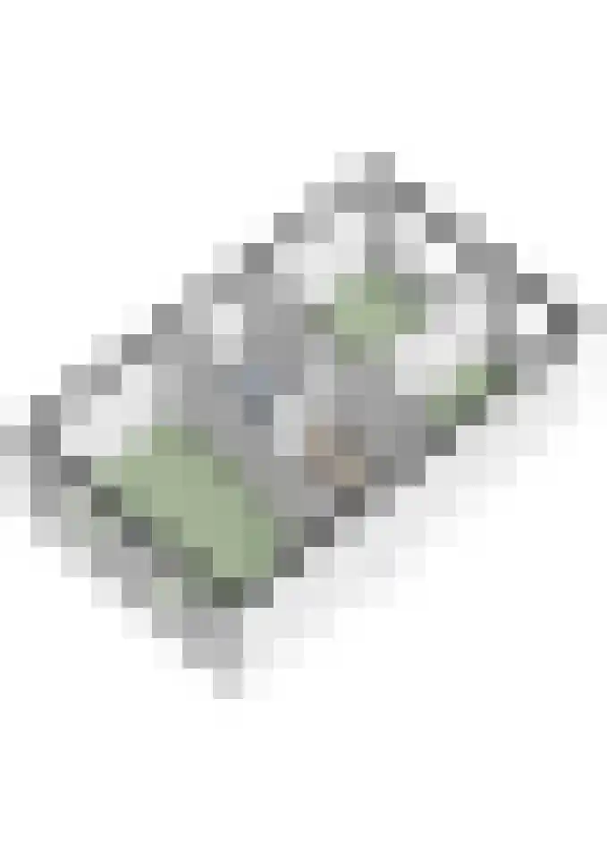 Strijpenhof 14 Liempde thumbnail 64
