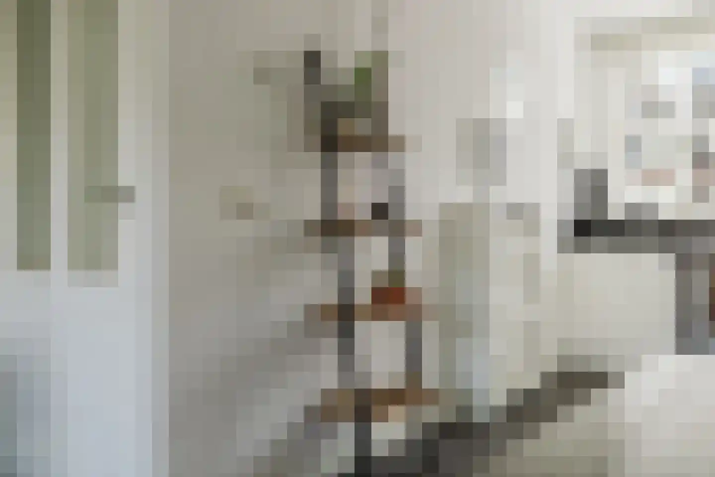Strijpenhof 14 Liempde thumbnail 9