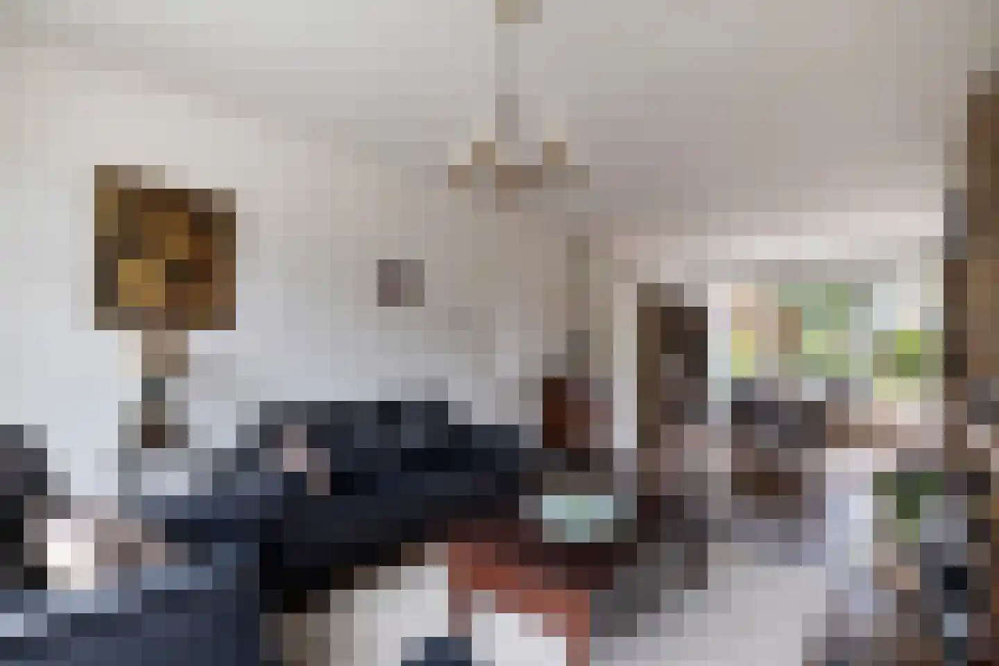 Strijpenlaan 18 Teteringen thumbnail 15