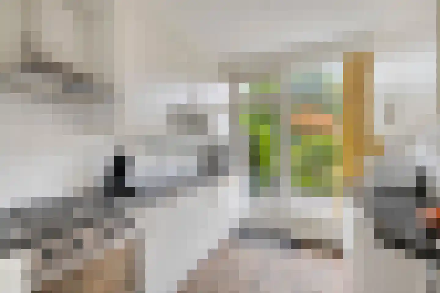 Strijpenlaan 18 Teteringen thumbnail 20