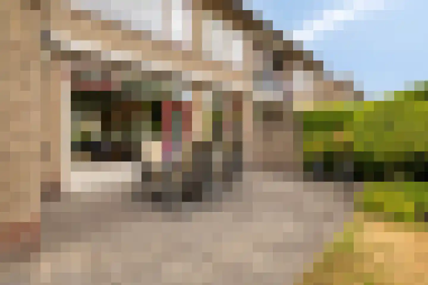 Strijpenlaan 18 Teteringen thumbnail 25