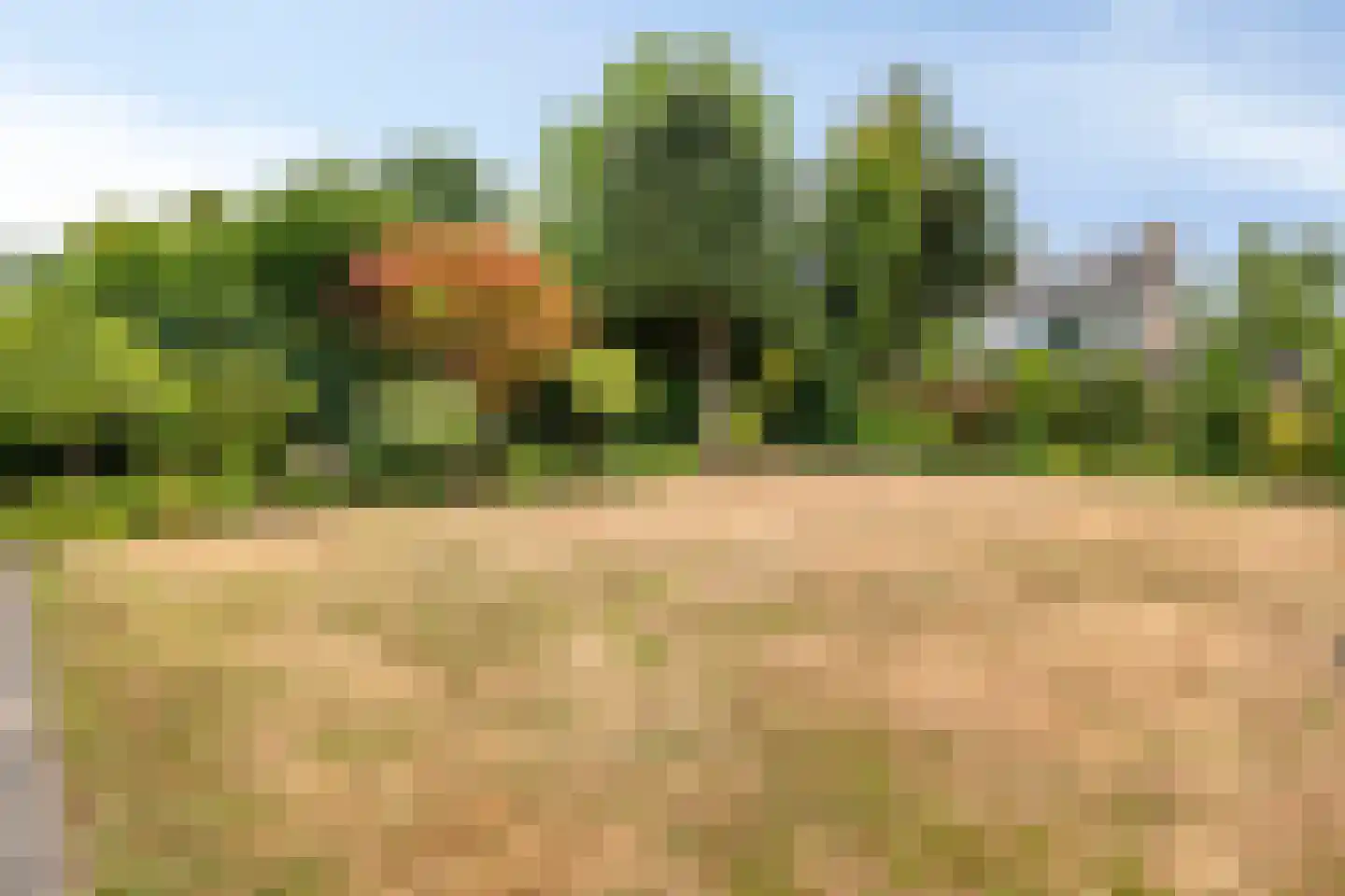 Strijpenlaan 18 Teteringen thumbnail 27