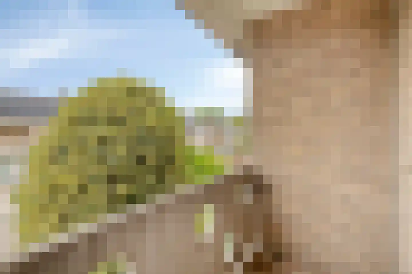 Strijpenlaan 18 Teteringen thumbnail 37