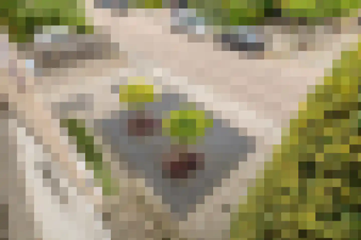 Strijpenlaan 18 Teteringen thumbnail 38