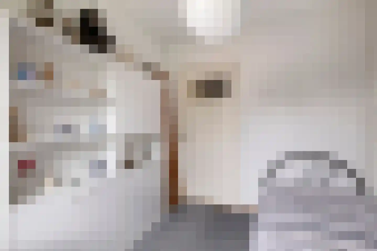 Strijpenlaan 18 Teteringen thumbnail 40