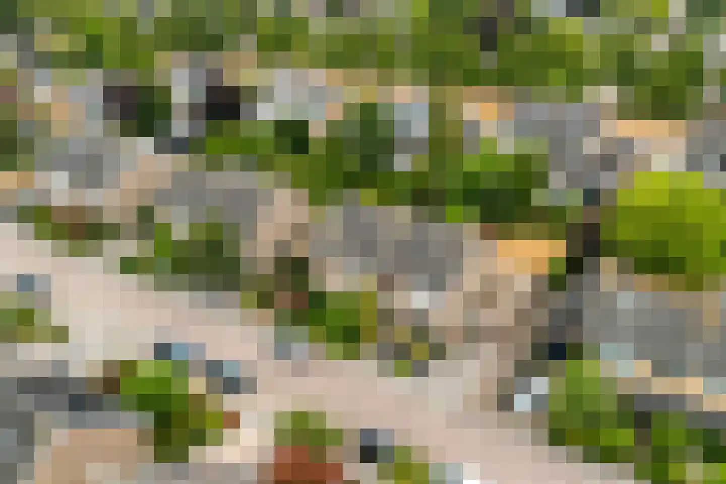 Strijpenlaan 18 Teteringen thumbnail 5