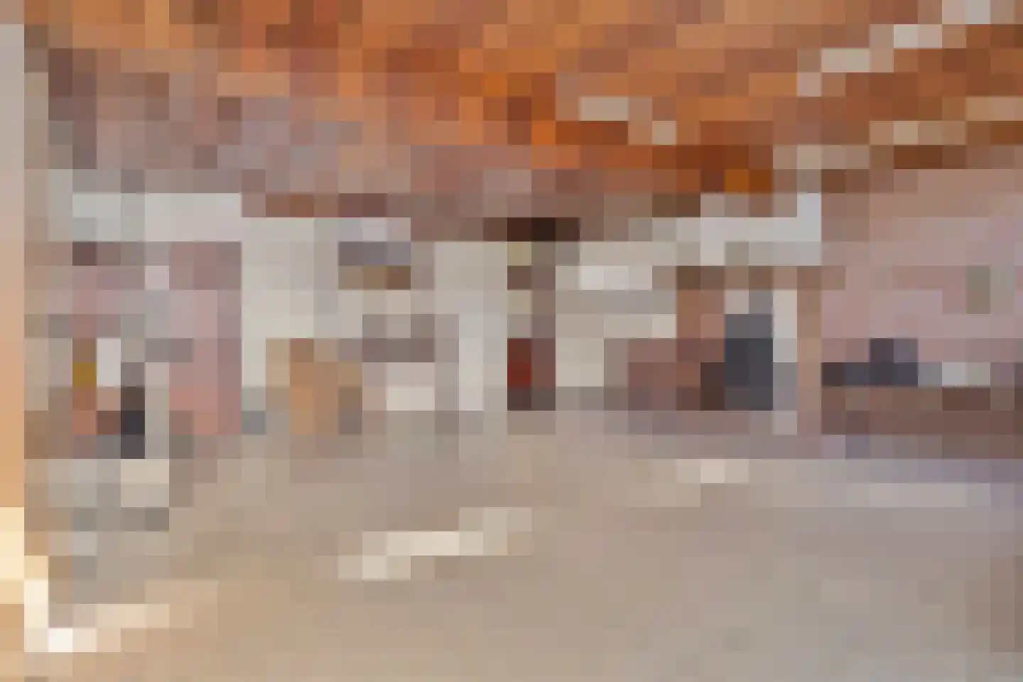 Strijperstraat 4 Leende thumbnail 16