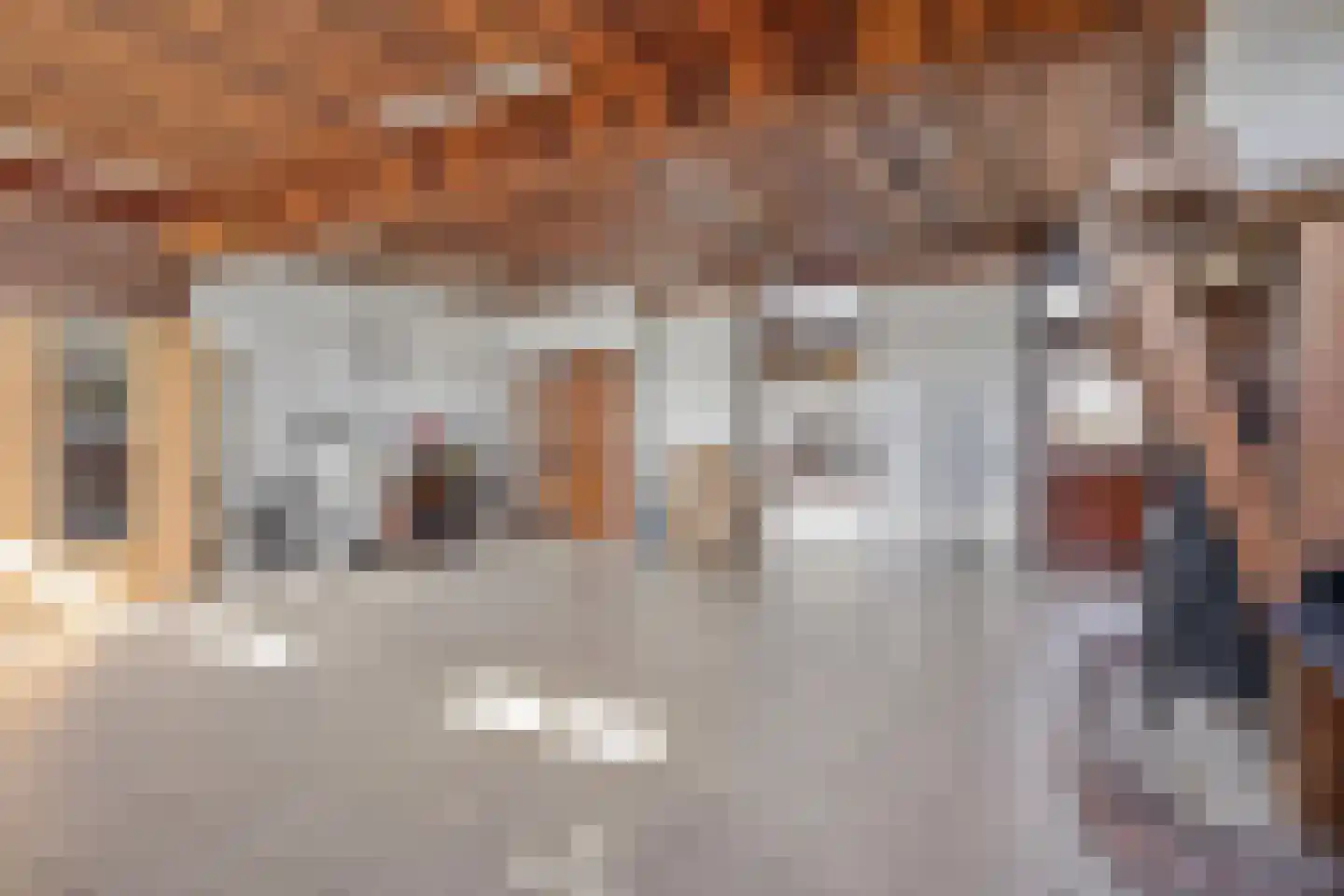 Strijperstraat 4 Leende thumbnail 17