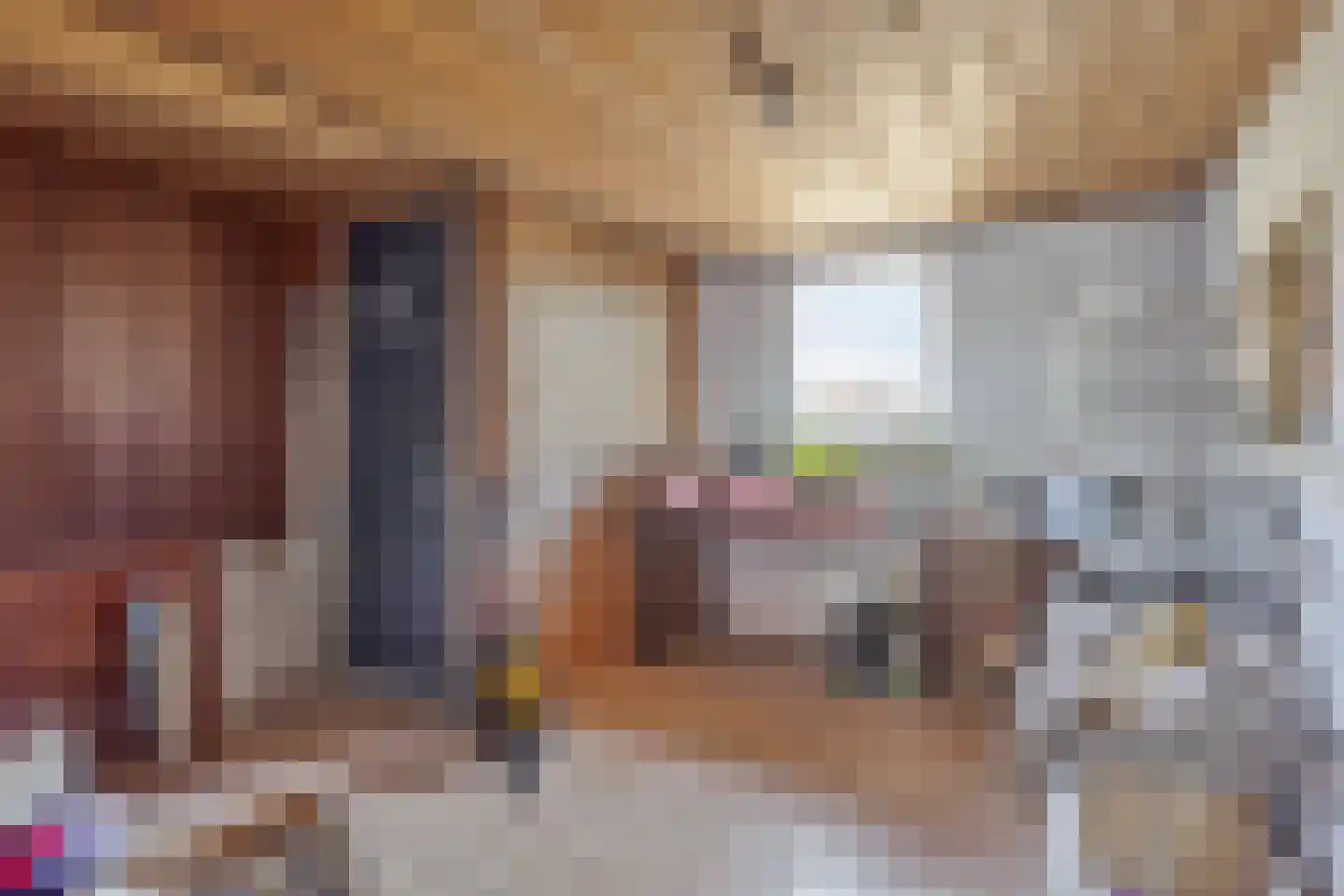 Strijperstraat 4 Leende thumbnail 20