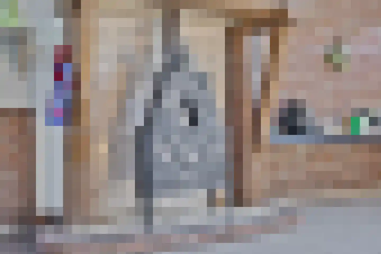 Strijperstraat 4 Leende thumbnail 21