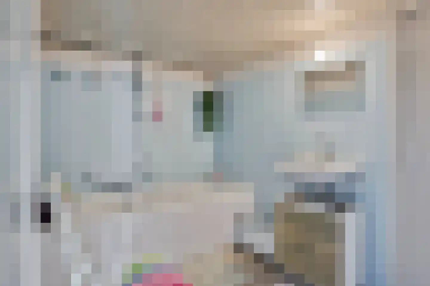 Strijperstraat 4 Leende thumbnail 26