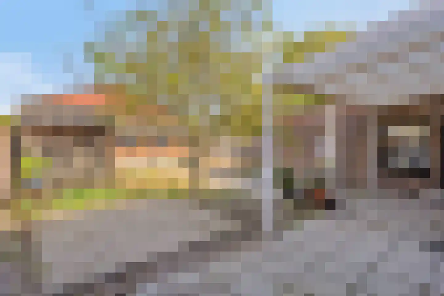 Strijperstraat 4 Leende thumbnail 32