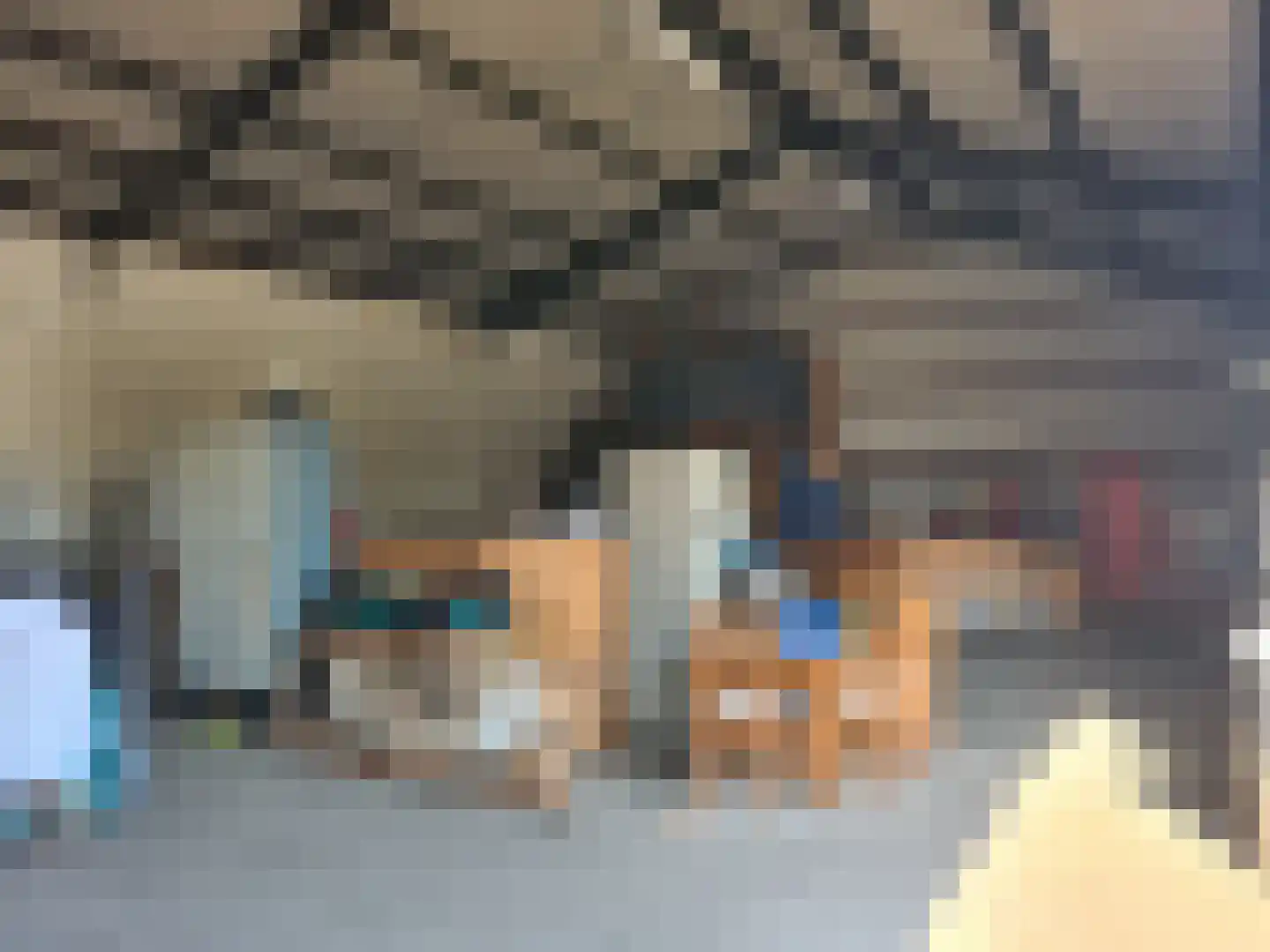 Strijperstraat 4 Leende thumbnail 34