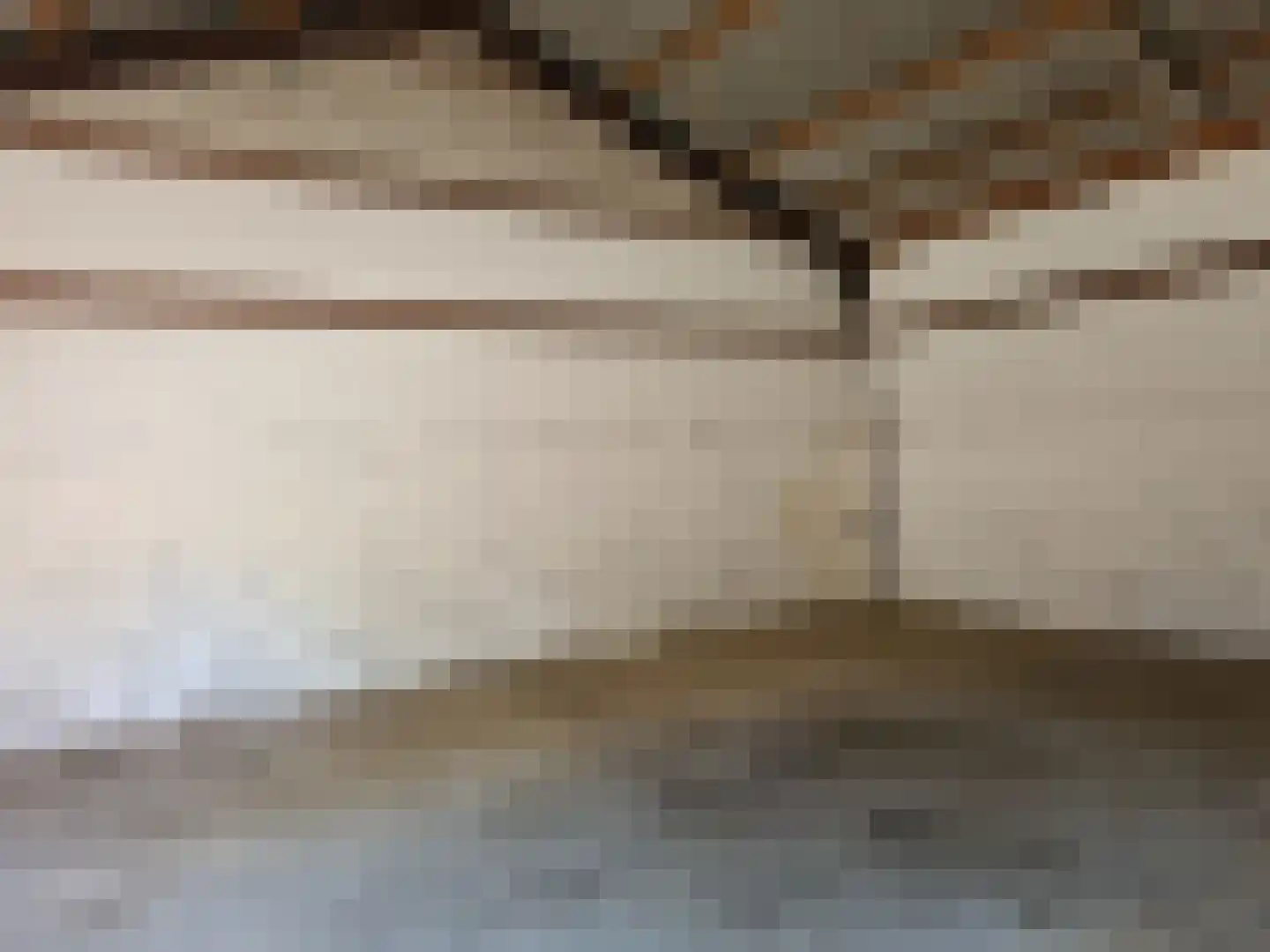Strijperstraat 4 Leende thumbnail 36