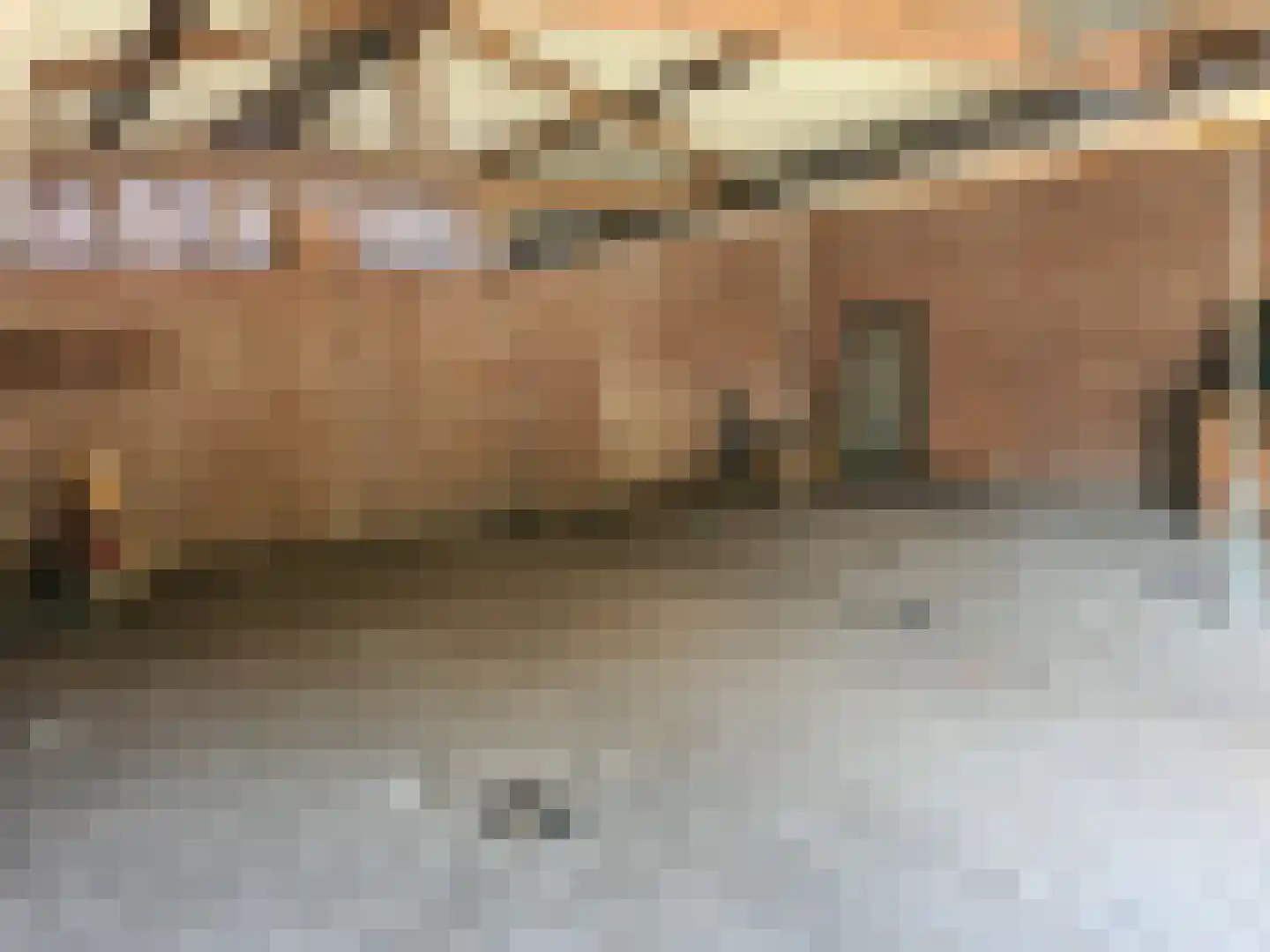 Strijperstraat 4 Leende thumbnail 37