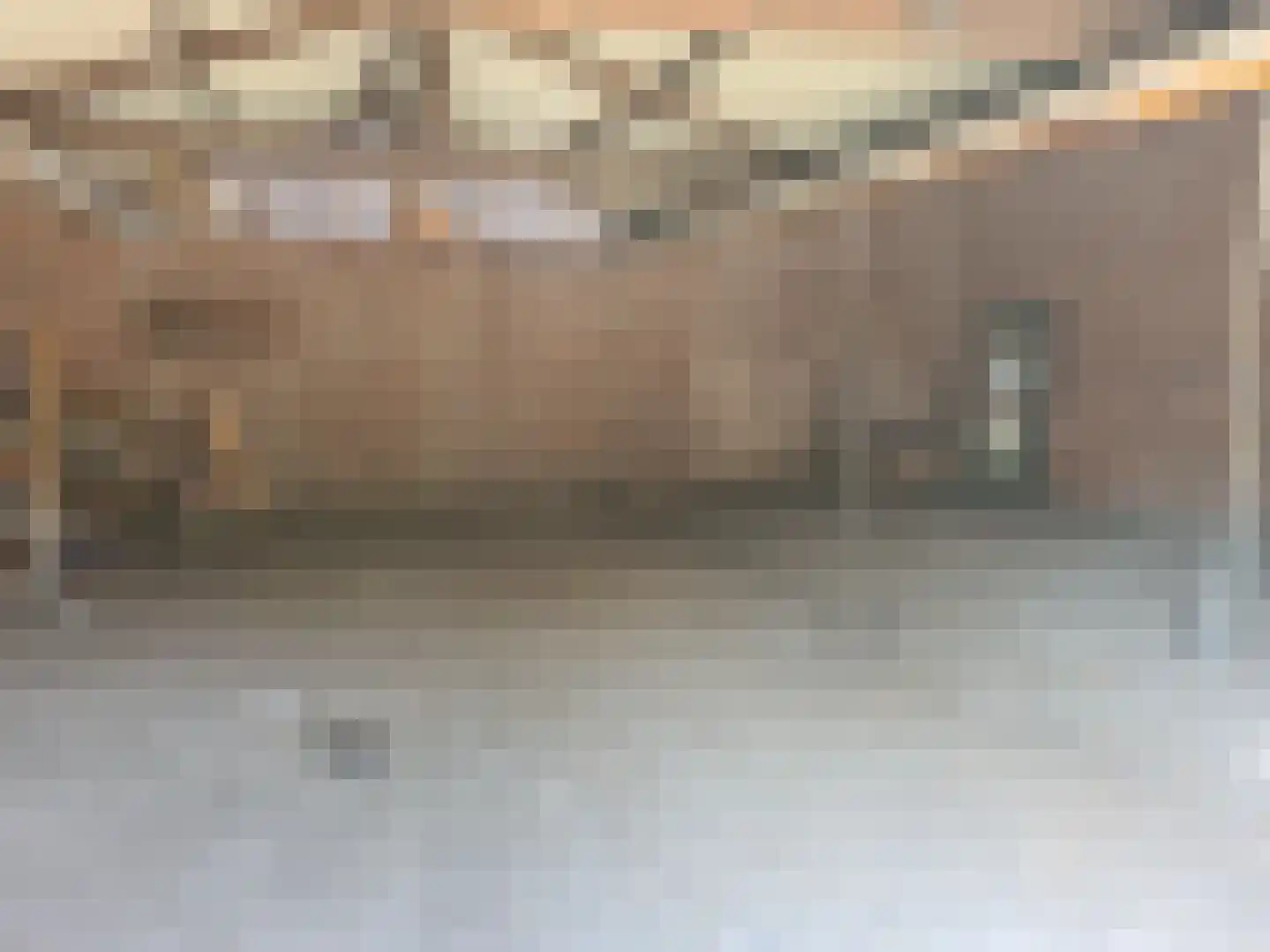 Strijperstraat 4 Leende thumbnail 38