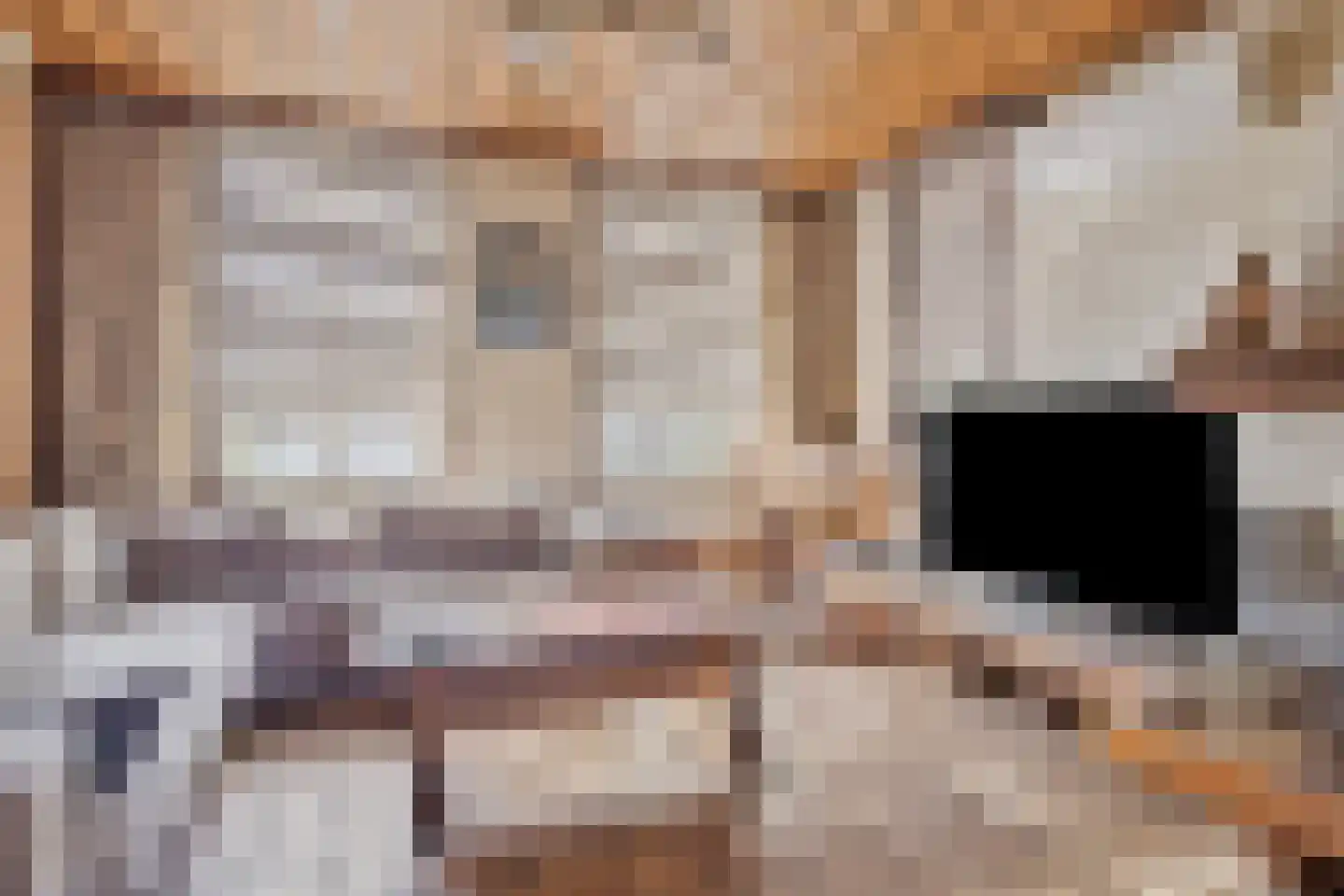 Strijperstraat 4 Leende thumbnail 5