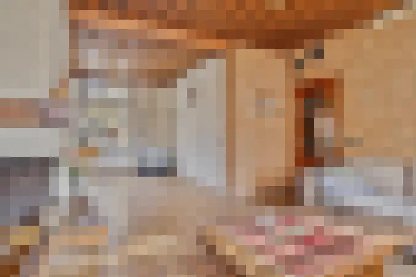 Strijperstraat 4 Leende thumbnail 6