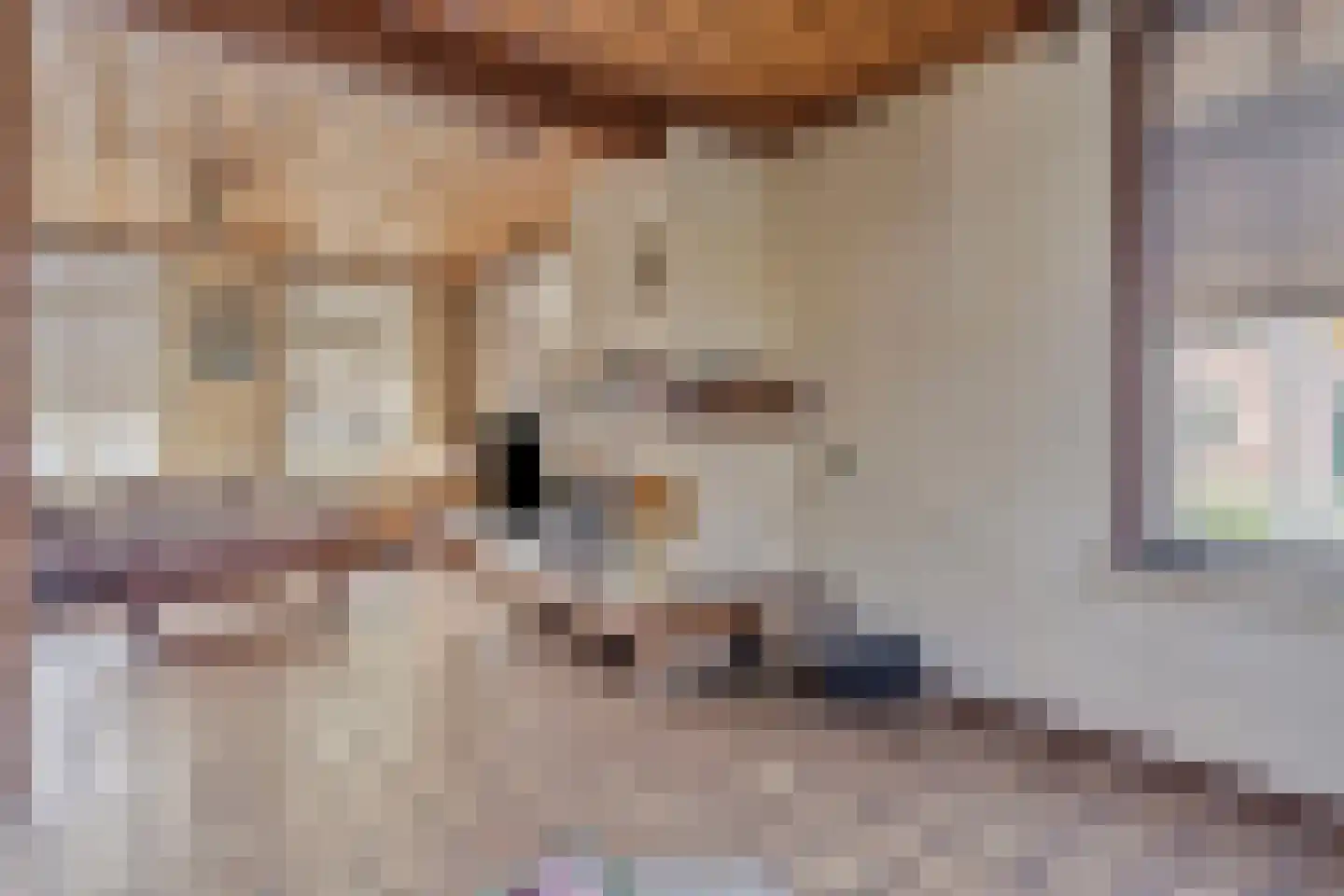 Strijperstraat 4 Leende thumbnail 8