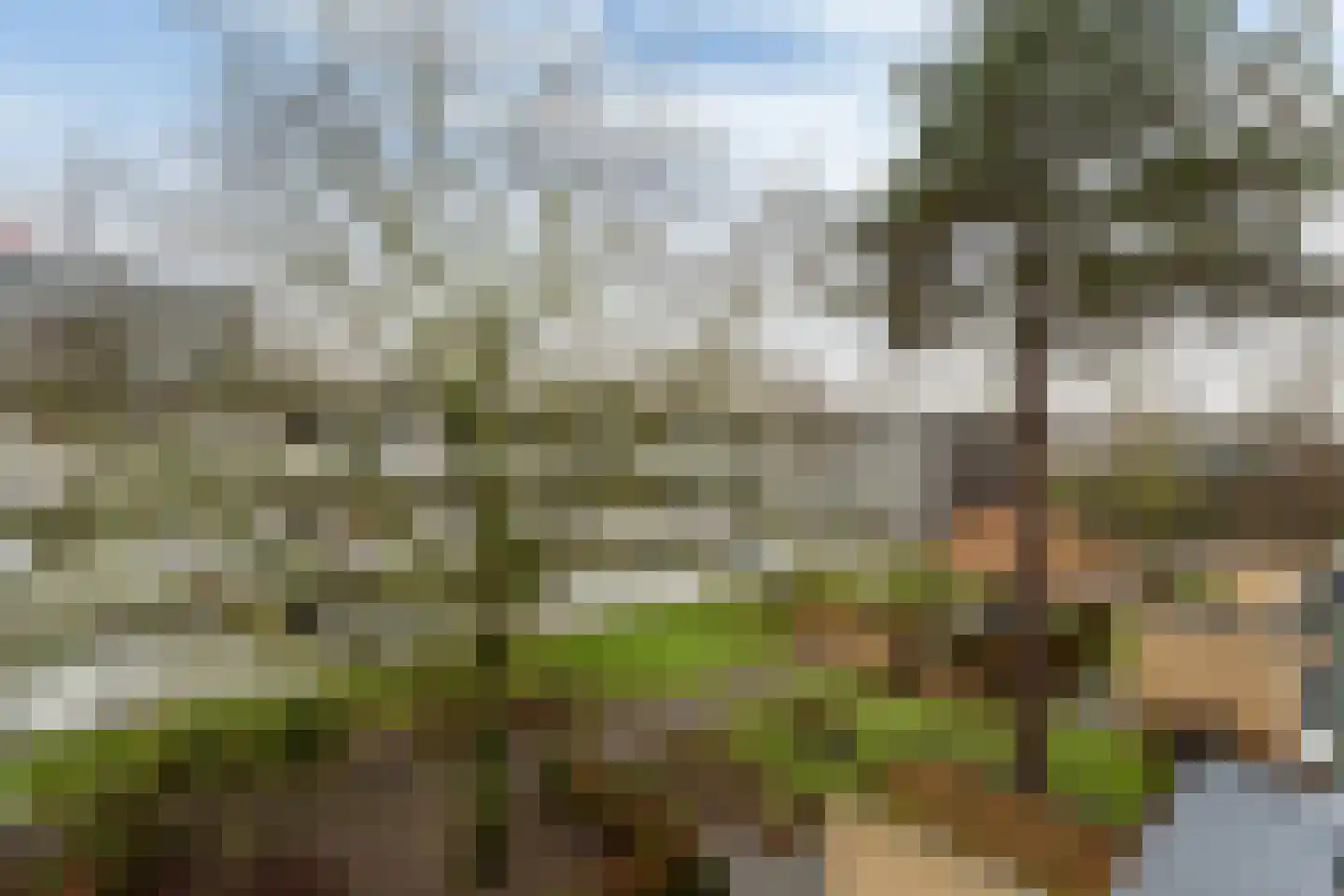 Strijpesingel 28 Rotterdam thumbnail 12