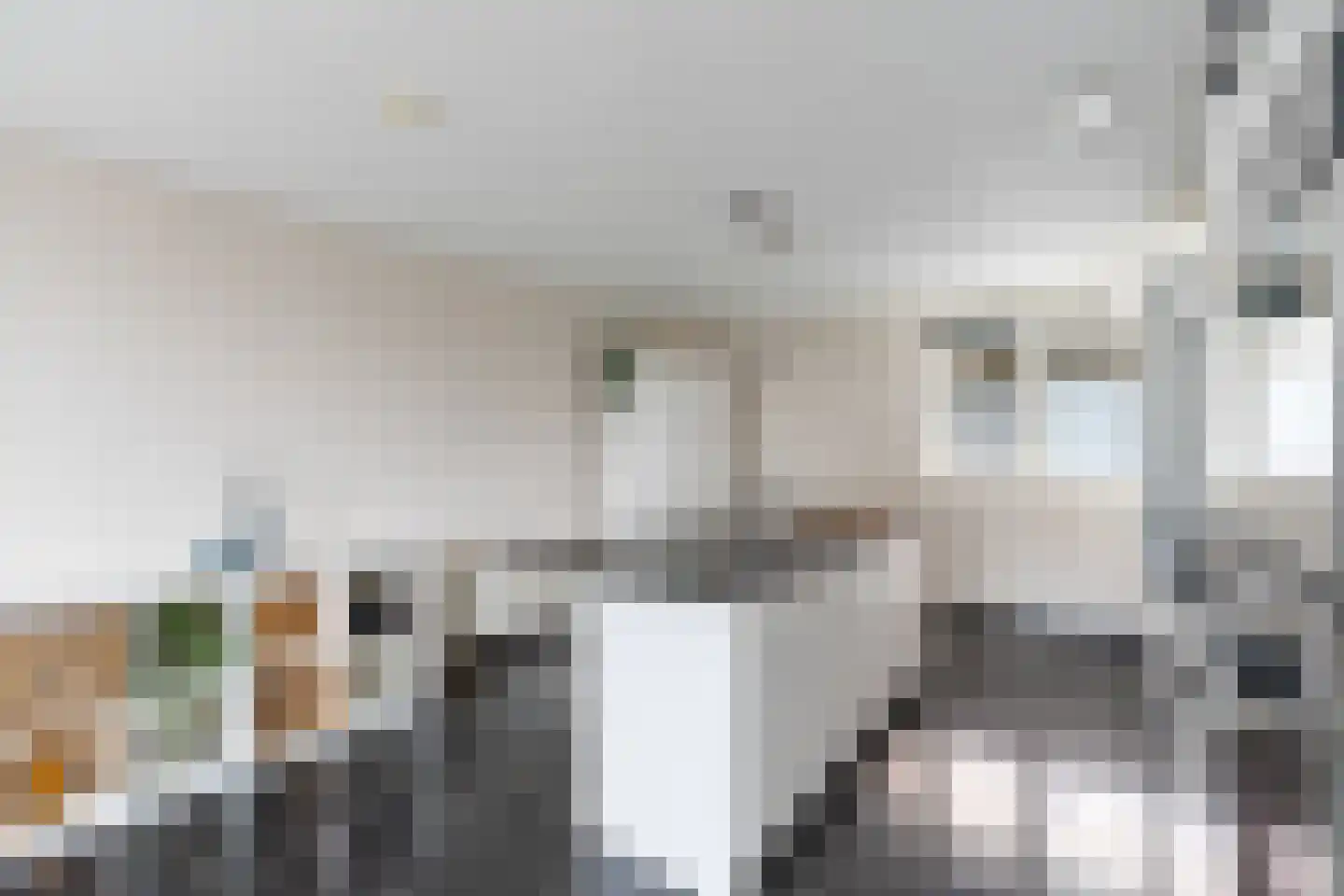 Strijpesingel 28 Rotterdam thumbnail 14