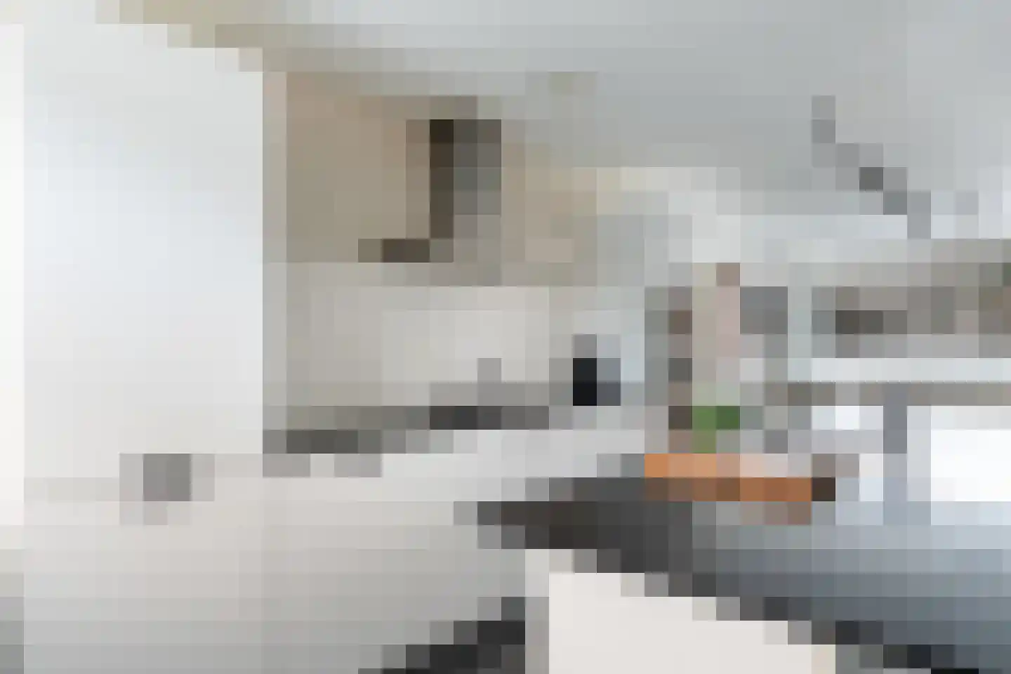 Strijpesingel 28 Rotterdam thumbnail 16