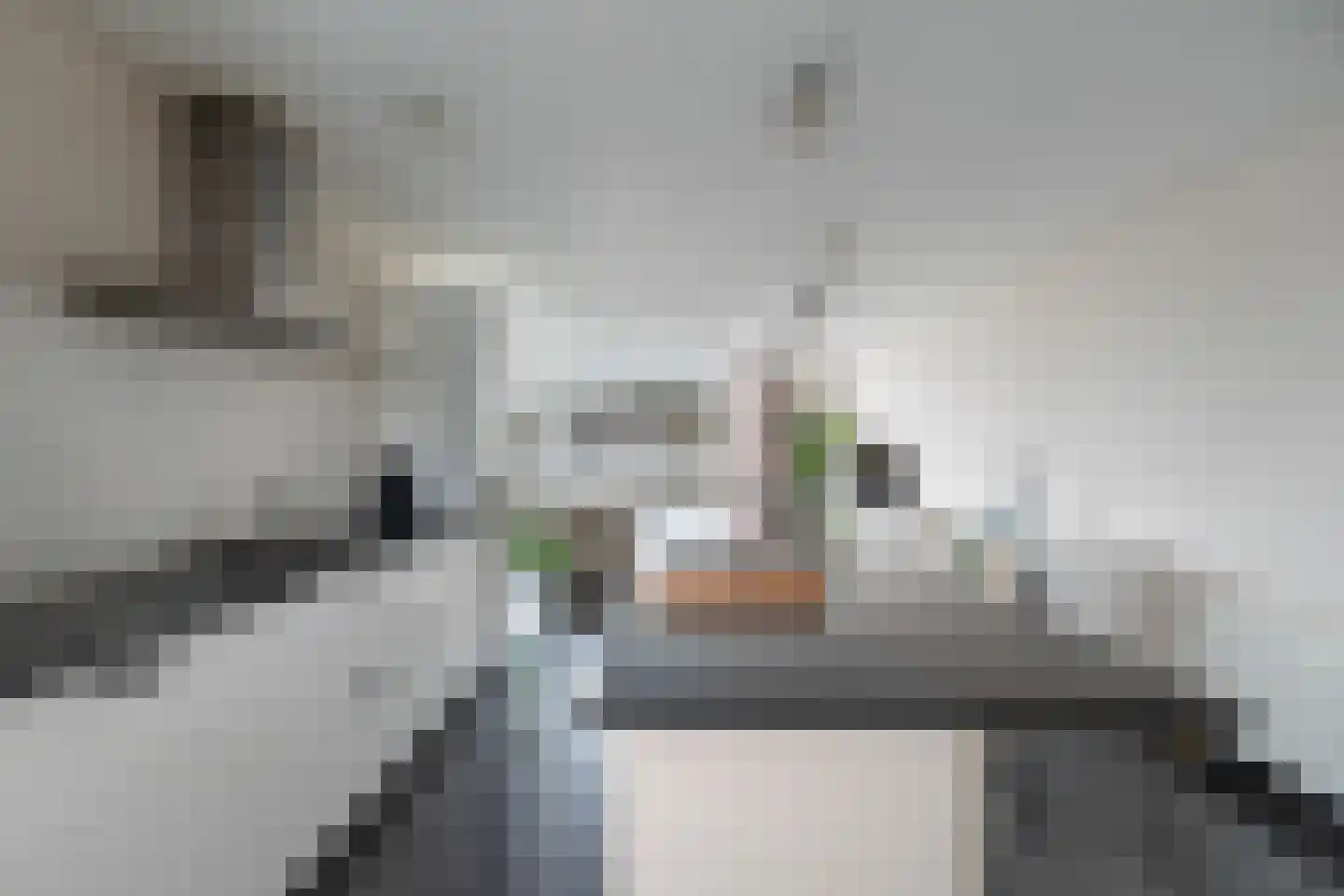 Strijpesingel 28 Rotterdam thumbnail 17