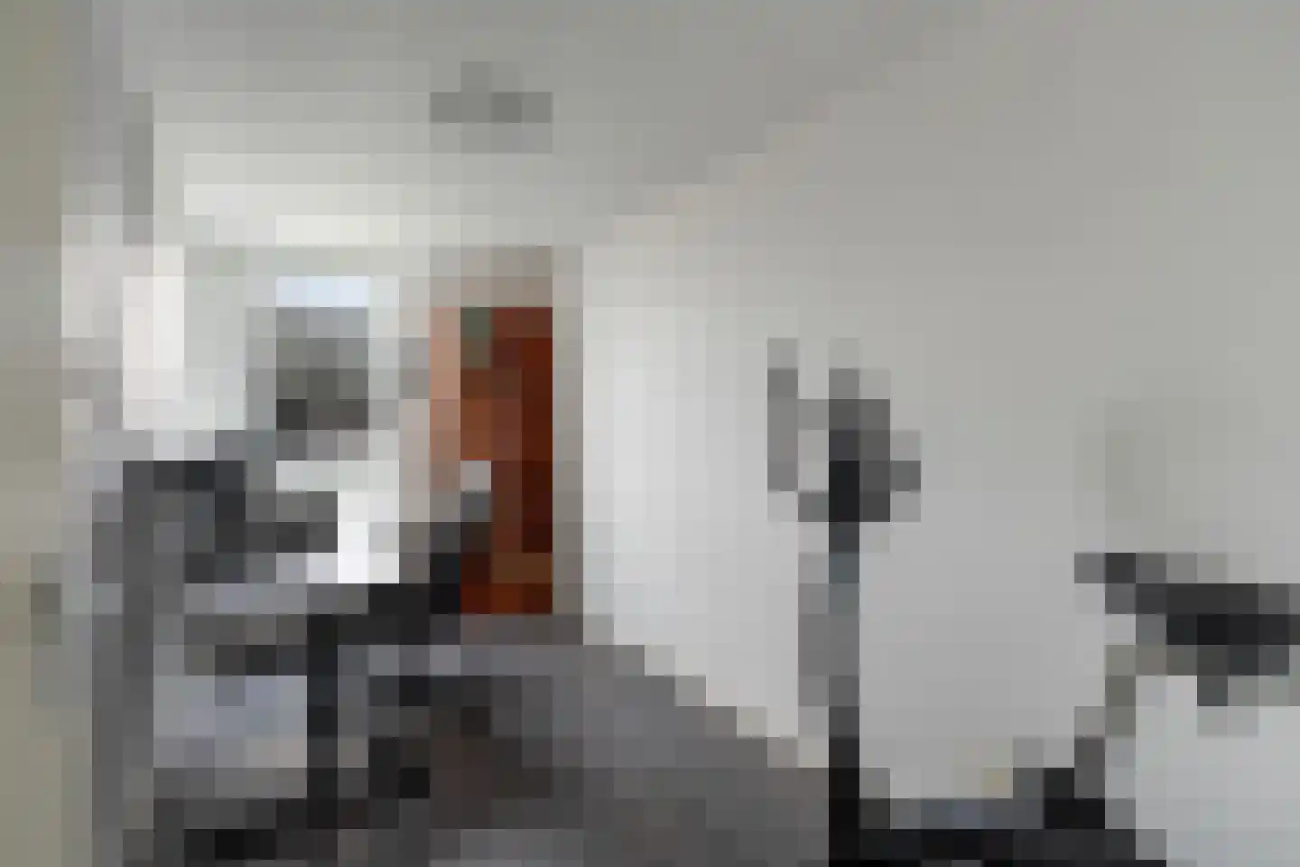 Strijpesingel 28 Rotterdam thumbnail 26