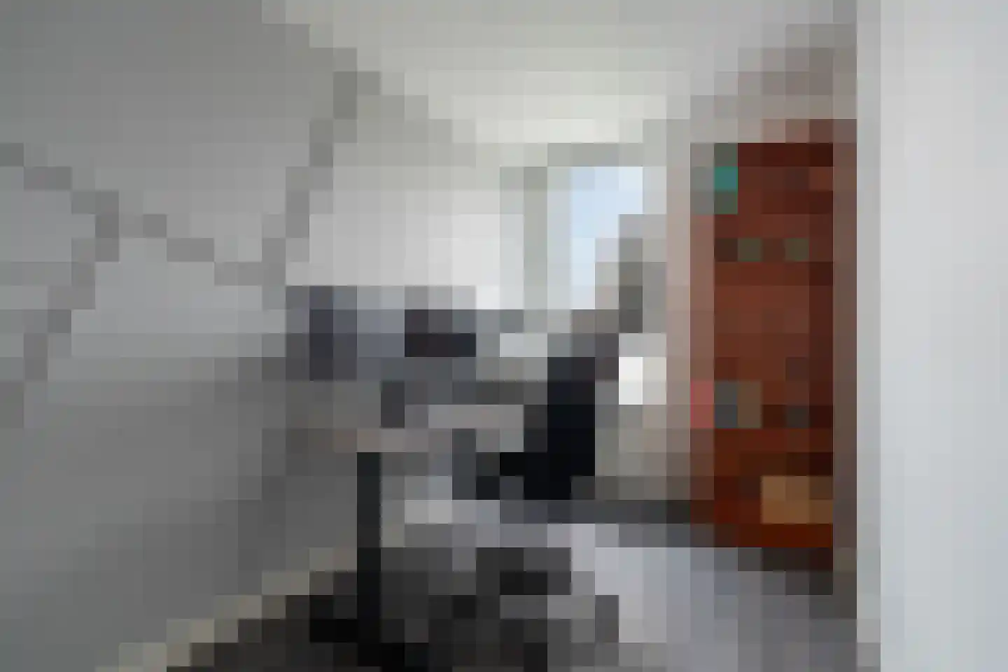 Strijpesingel 28 Rotterdam thumbnail 27