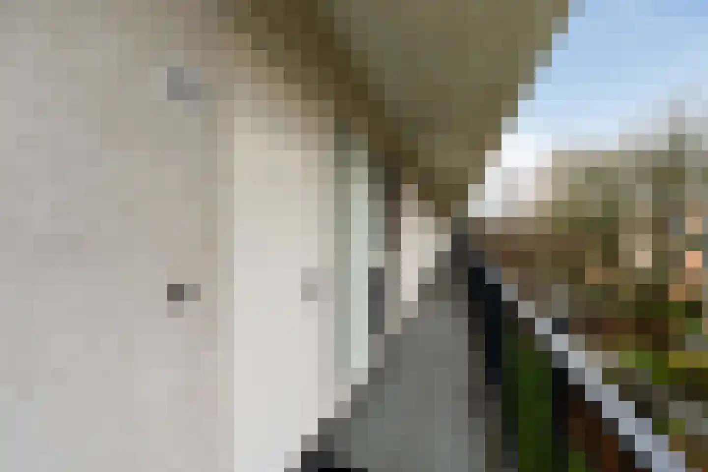 Strijpesingel 28 Rotterdam thumbnail 48