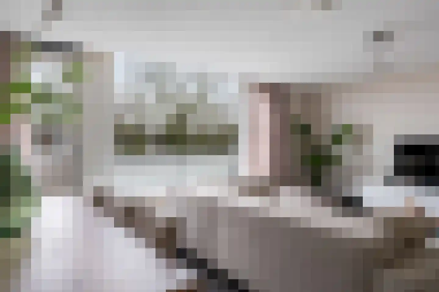 Strijpesingel 28 Rotterdam thumbnail 9
