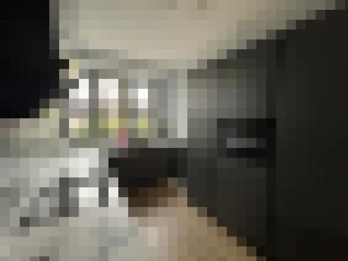 Strijpesingel 94 Rotterdam thumbnail 5