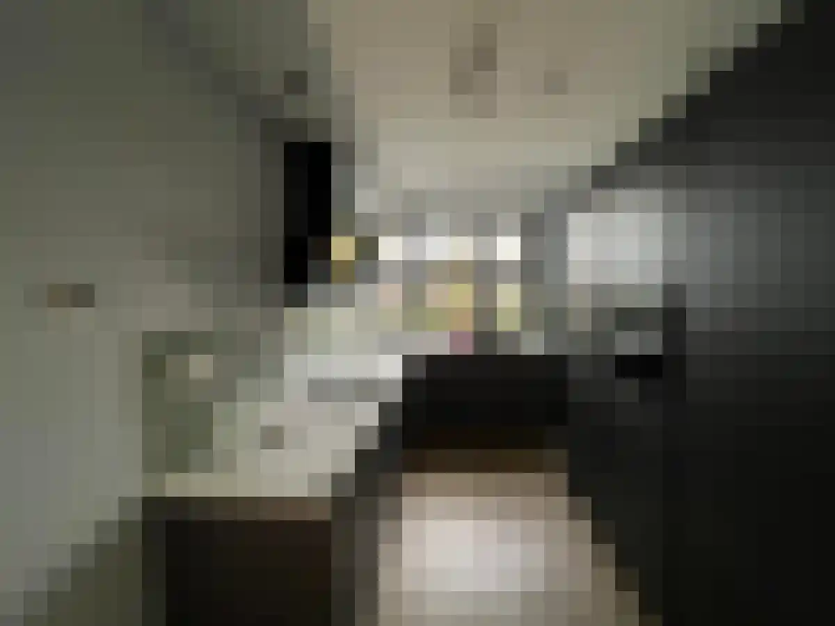 Strijpesingel 94 Rotterdam thumbnail 6
