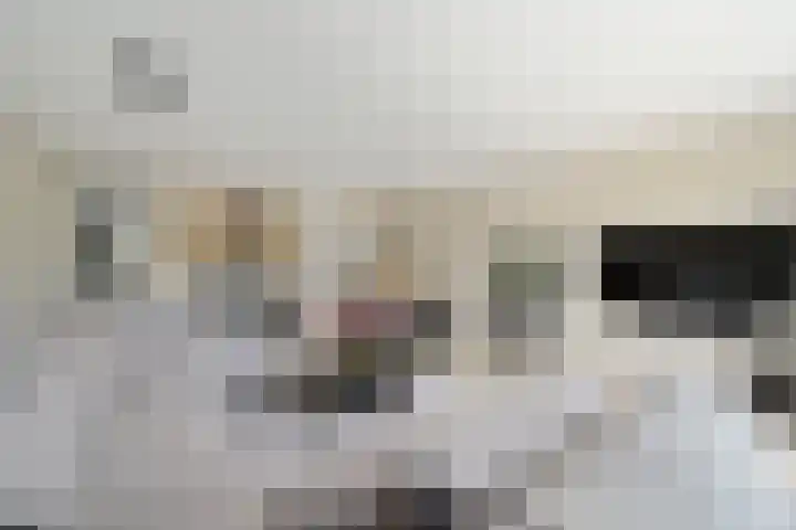 Strijplaan 13 Rijswijk thumbnail 10