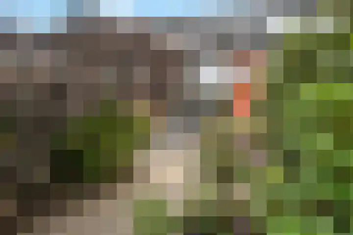 Strijplaan 13 Rijswijk thumbnail 17